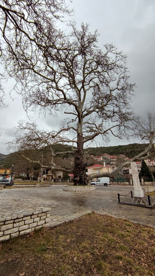 Φωτογραφία: Κεντρική πλατεία