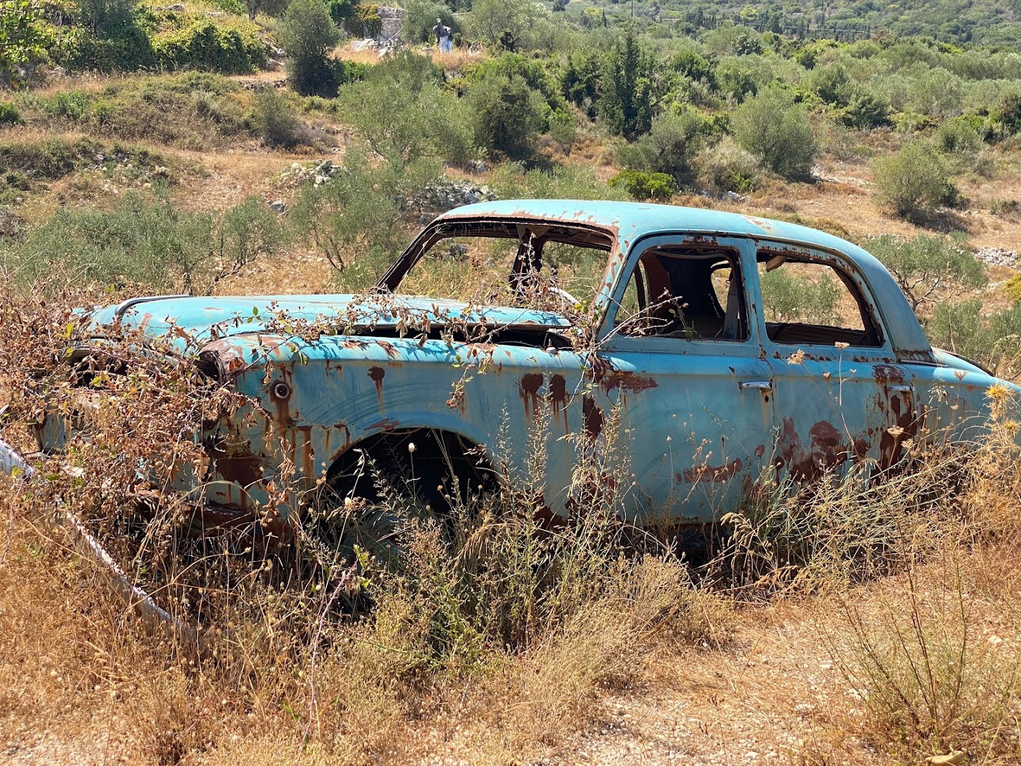 Φωτογραφία: Elies Park