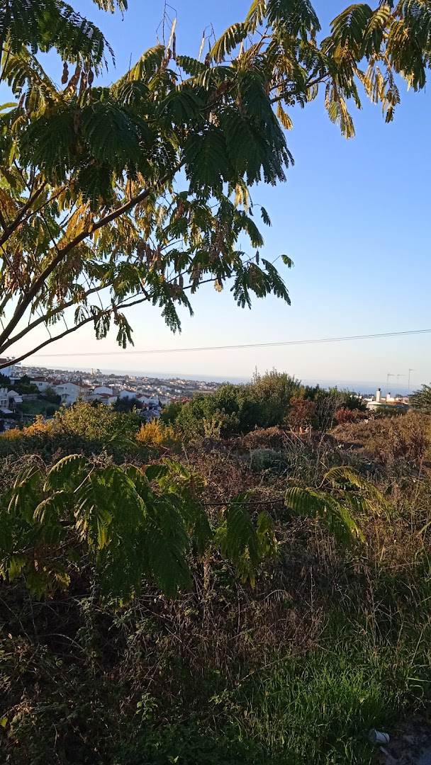 Φωτογραφία: Άλσος Τριλόφου