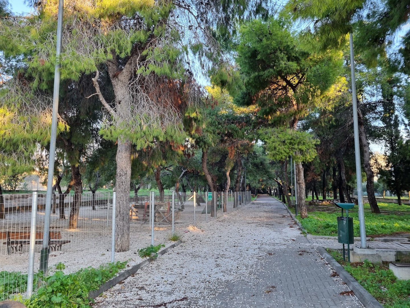 Φωτογραφία: Πάρκο Σκύλων Αγίων Αναργύρων