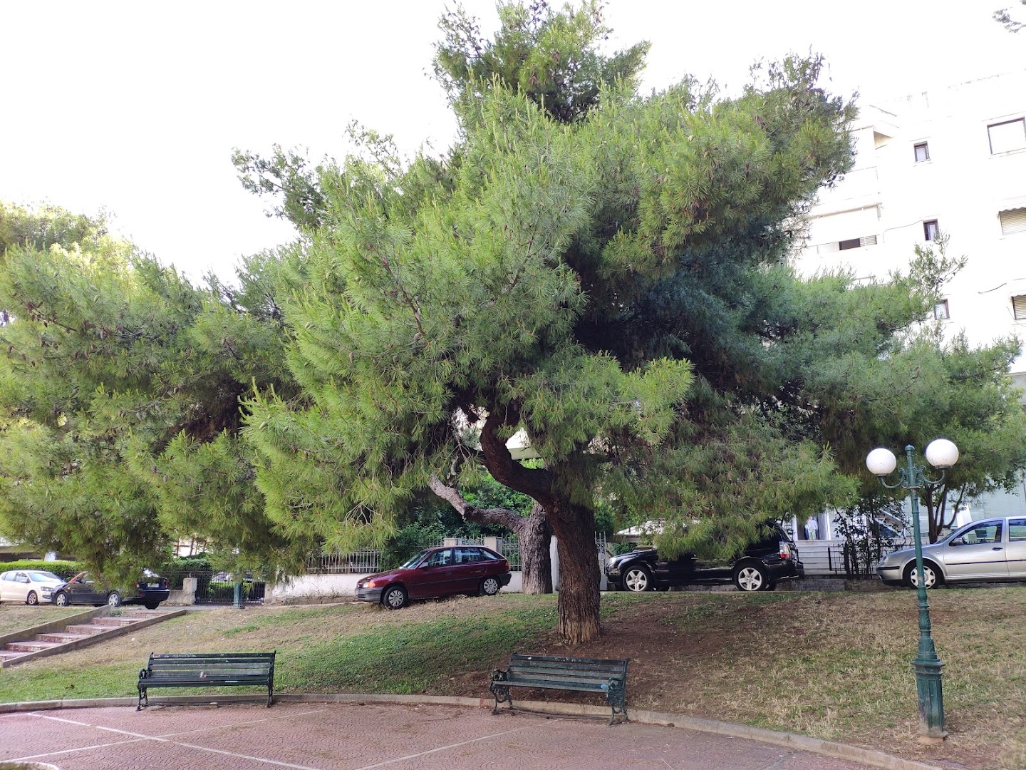 Φωτογραφία: Δημοτικό πάρκο(Κολοκοτρώνη και Βιτσίου)