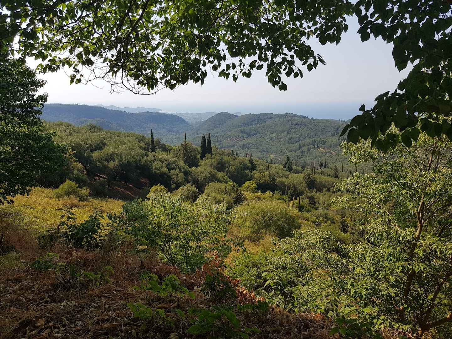 Φωτογραφία: Roda view