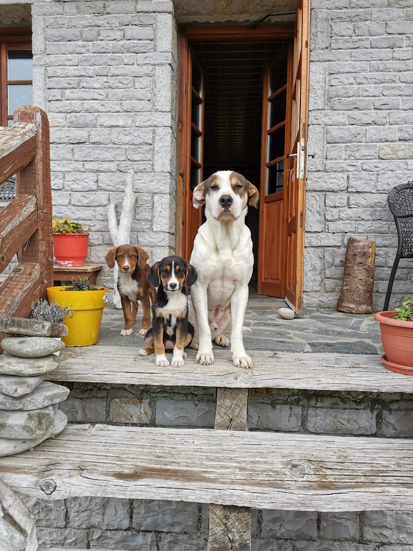 Φωτογραφία: Free Inn Zagori