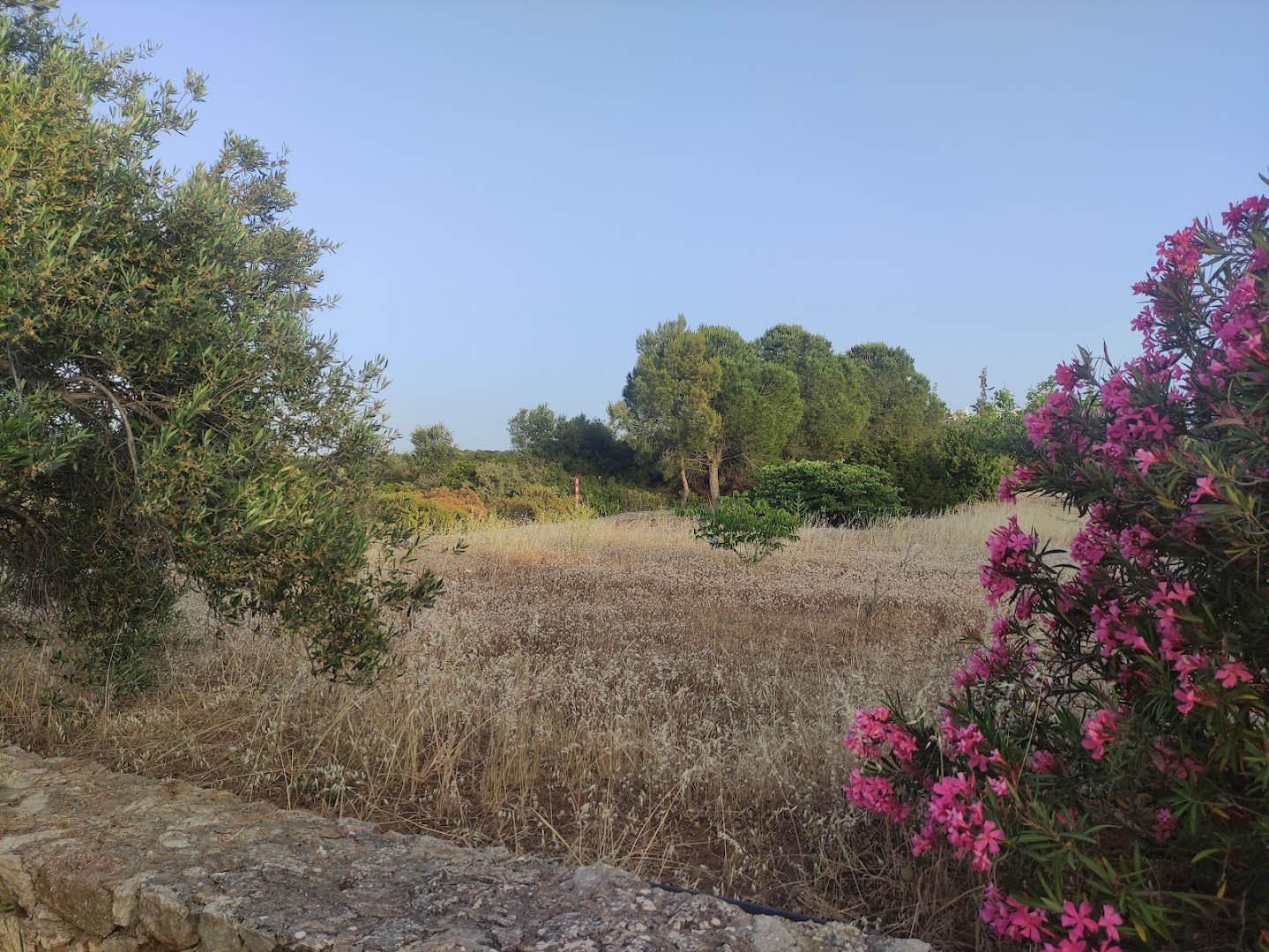 Φωτογραφία: Παρκο χλωρίδας και πανίδας