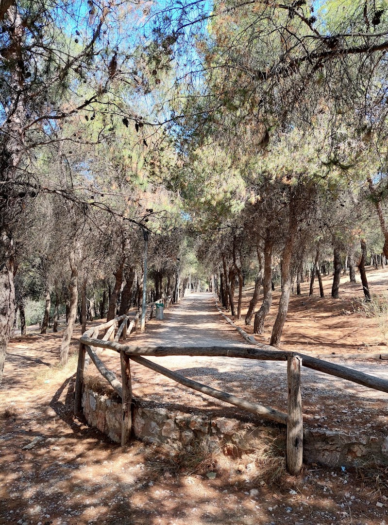 Φωτογραφία: Άλσος Αγίου Δημητρίου