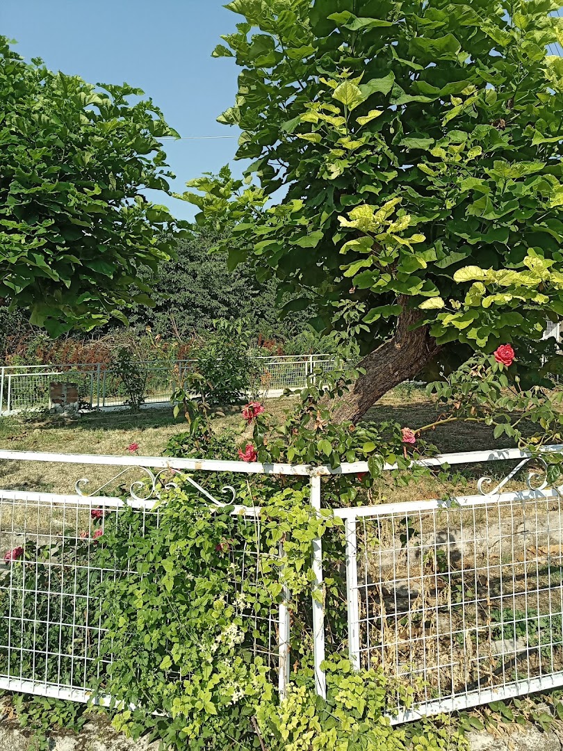 Φωτογραφία: Πάρκο Αναψυχής Βογατσικού