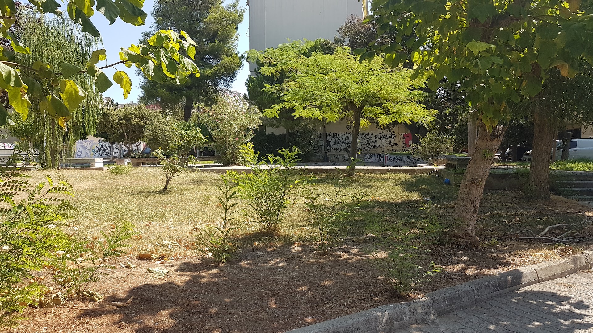 Φωτογραφία: Πάρκο – Πεύκη