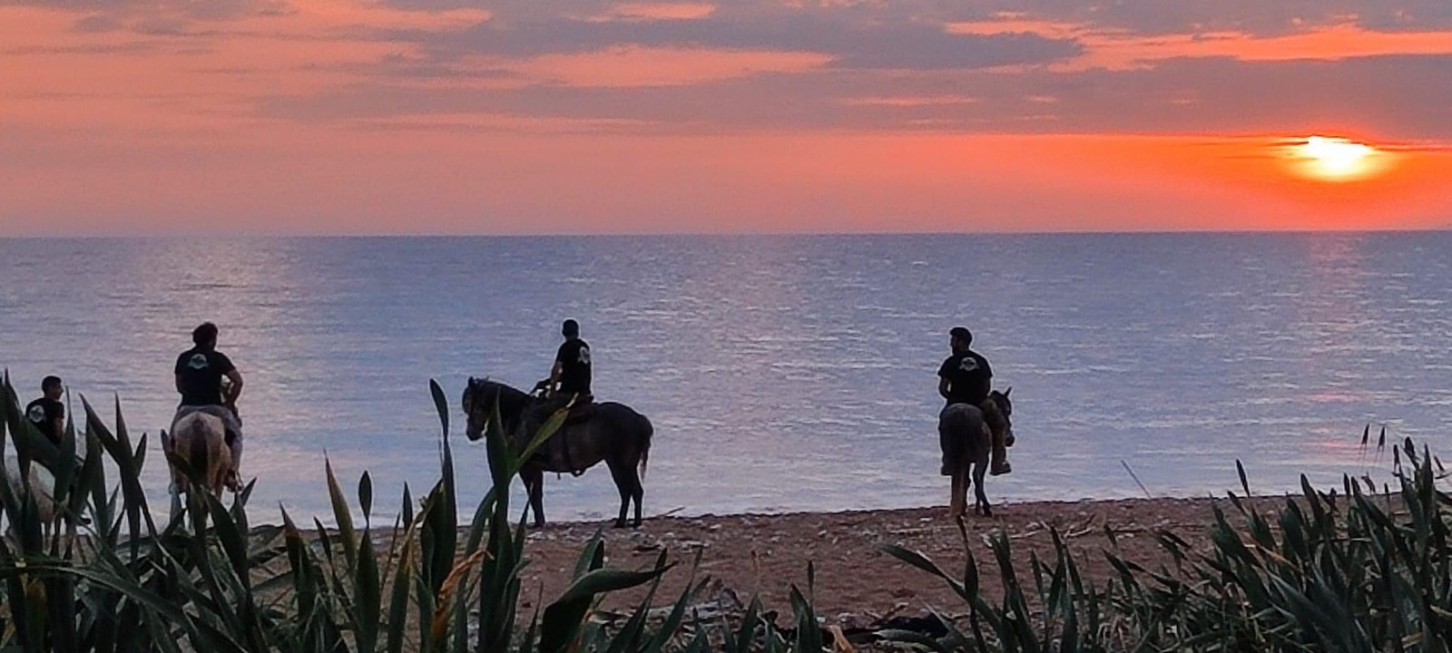 Φωτογραφία: Elea Horse Riding