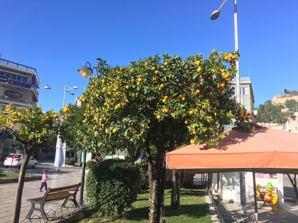 Φωτογραφία: Πλατεία Πάρκου (Πλατεία Βασιλέως Κωνσταντίνου του ΙΒ´)