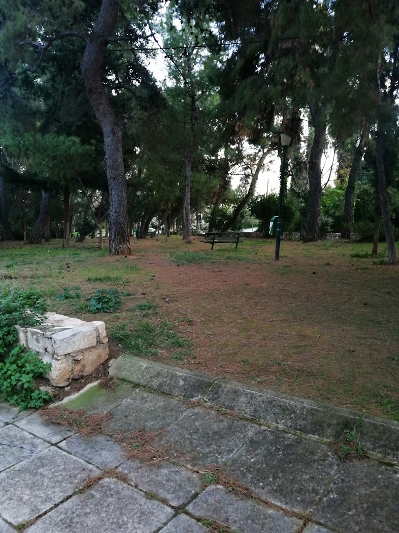 Φωτογραφία: Άλσος Παναγιώτου Καρβέλα