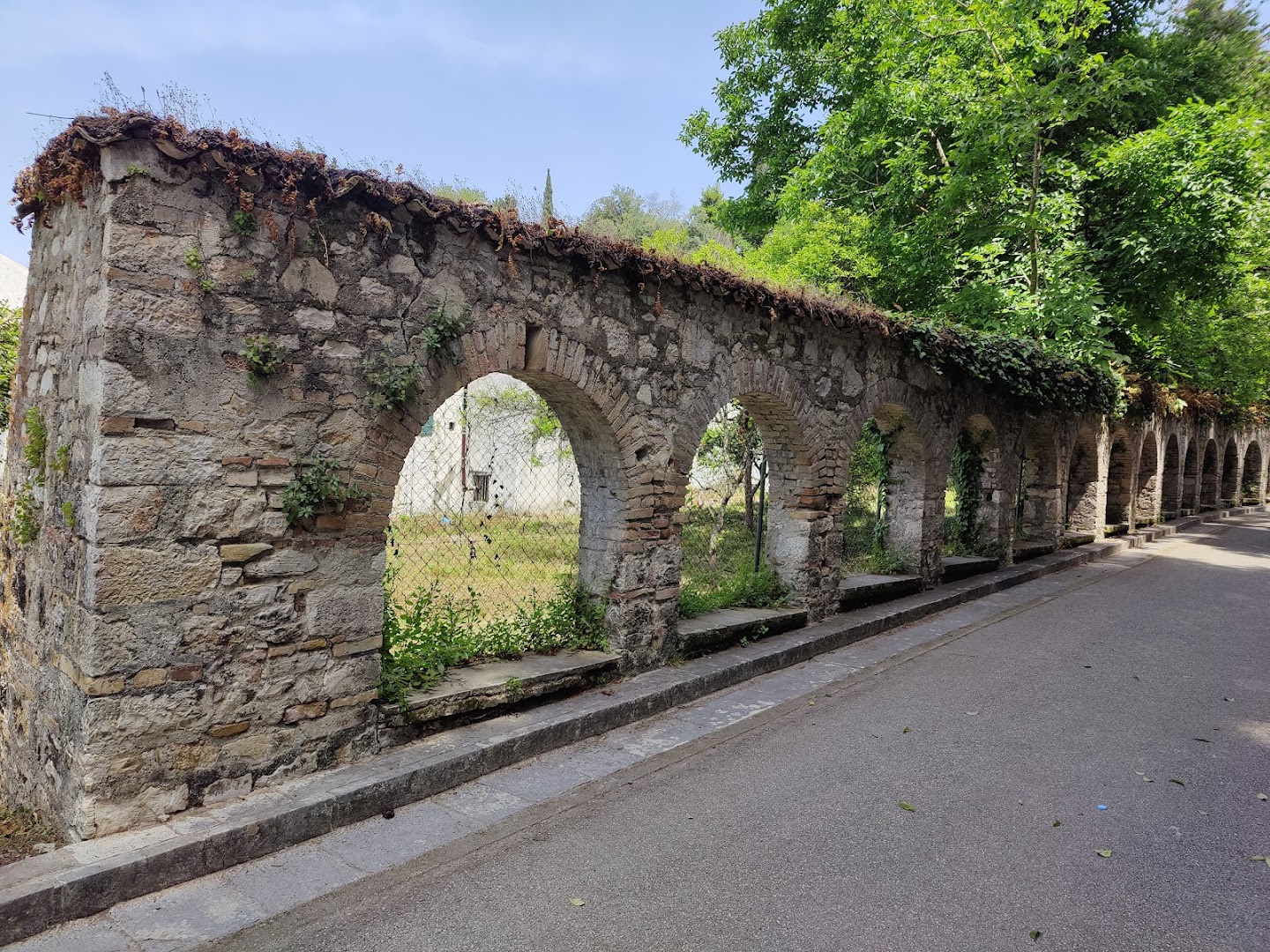Φωτογραφία: Mon Repos Park
