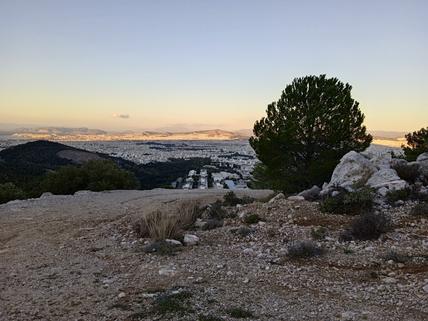 Φωτογραφία: Αισθητικό Δάσος Καισαριανής