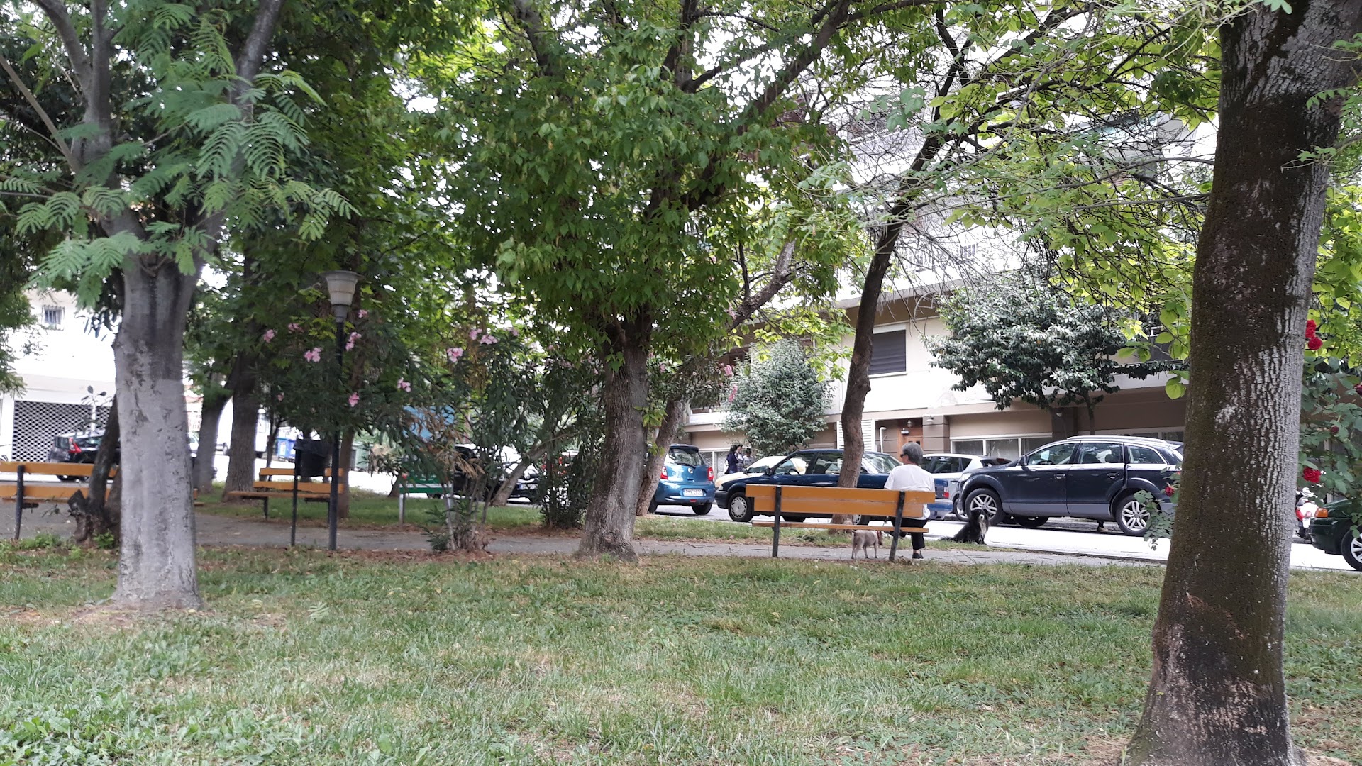 Φωτογραφία: Πάρκο Νικηφόρου Φωκά