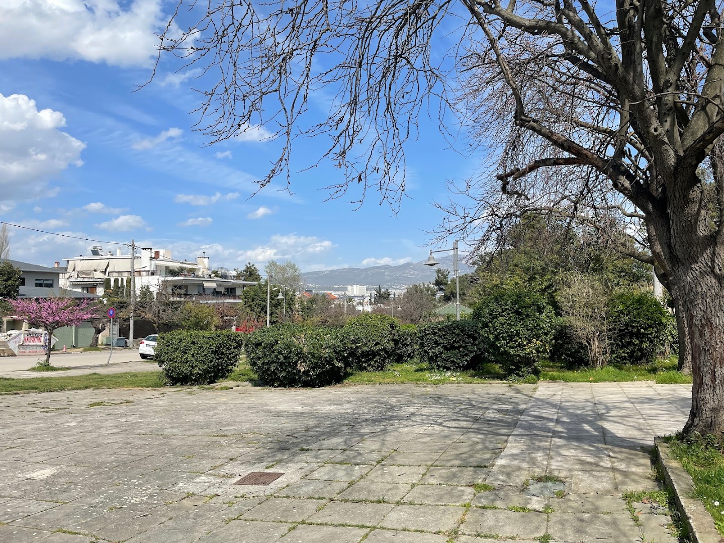 Φωτογραφία: Πλατεία Βενακίδη