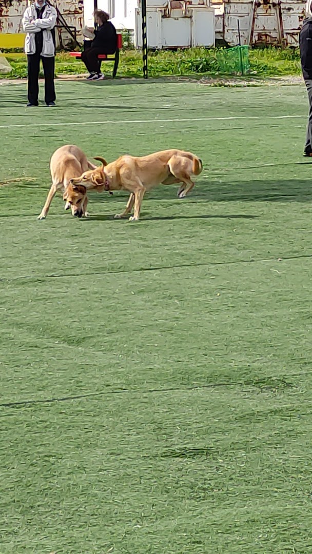 Φωτογραφία: Dog Park – Περιστέρι