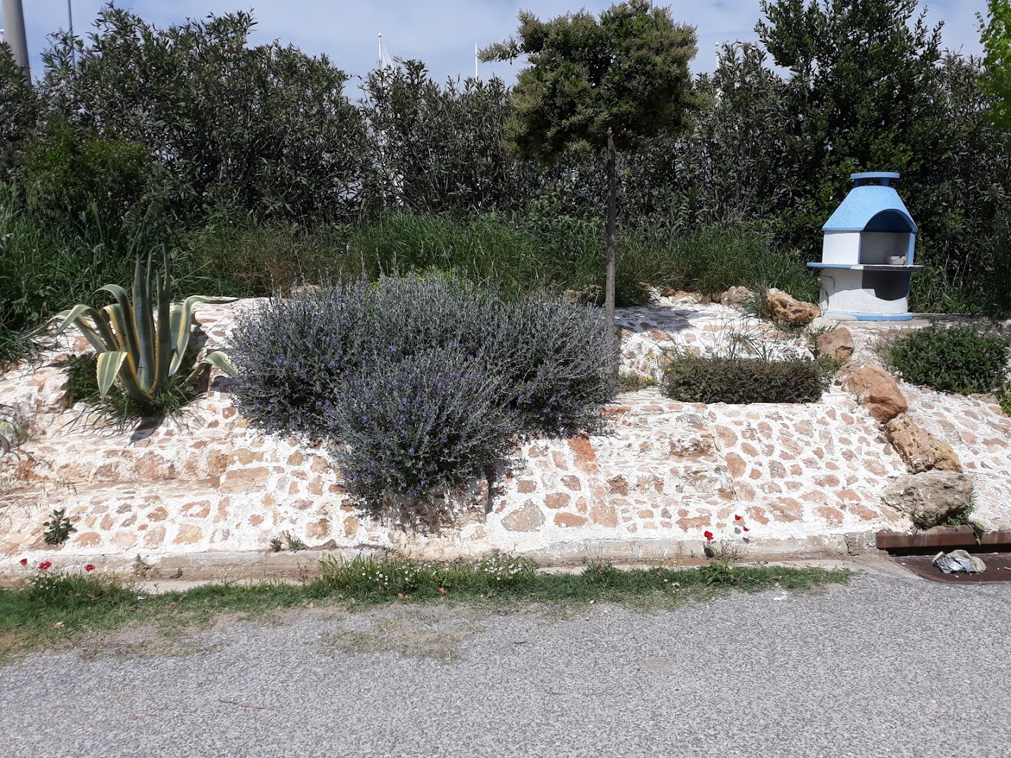 Φωτογραφία: Πάρκο Φασίδερη