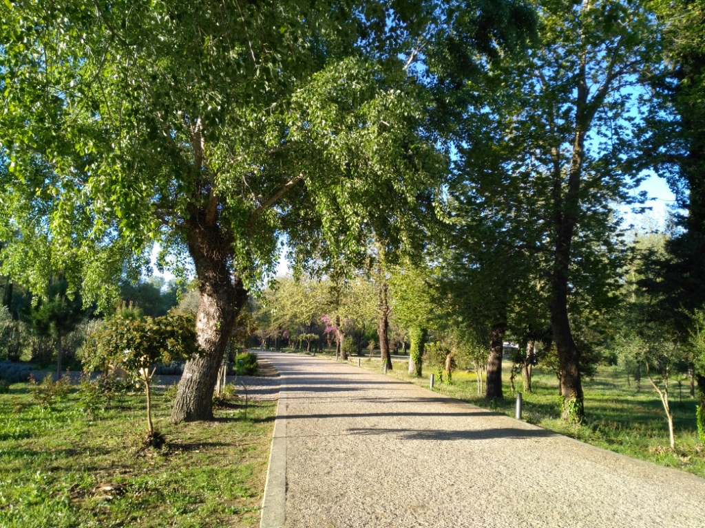 Φωτογραφία: Άλσος Ολυμπιακής Εκεχειρίας