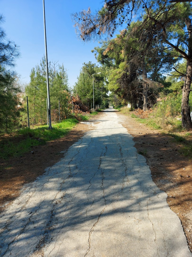 Φωτογραφία: Διαθεματικό Πάρκο Καρατάσιου