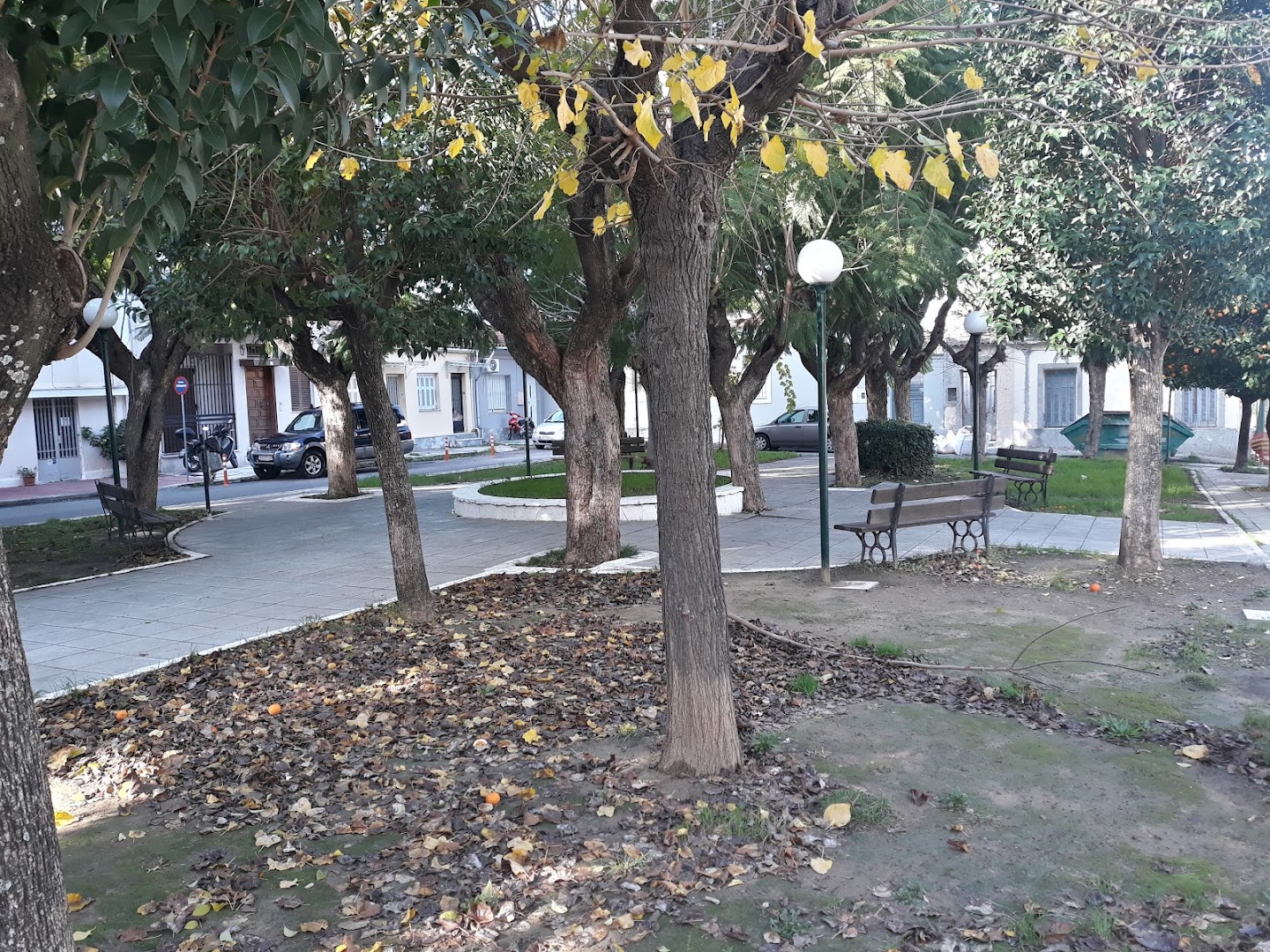 Φωτογραφία: Πάρκο Ναού Παντοκράτορος