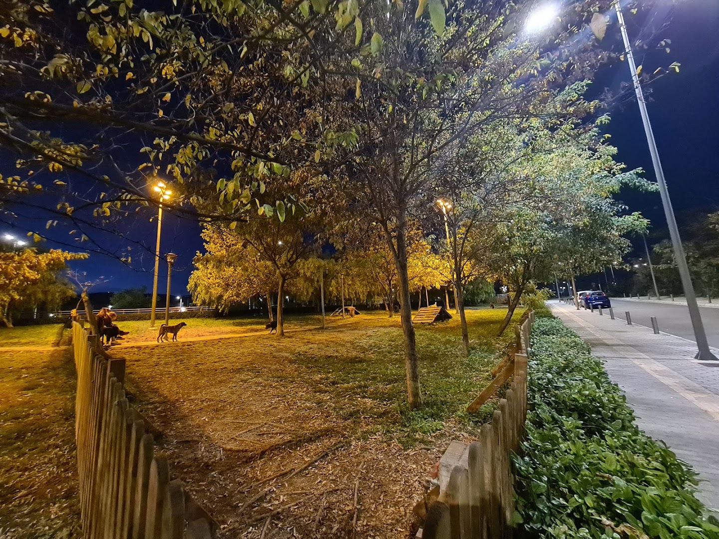 Φωτογραφία: Δημοτικό Πάρκο Σκύλων, Ίλιον