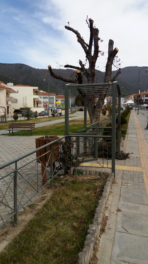 Φωτογραφία: Πάρκο – Πολύγυρος