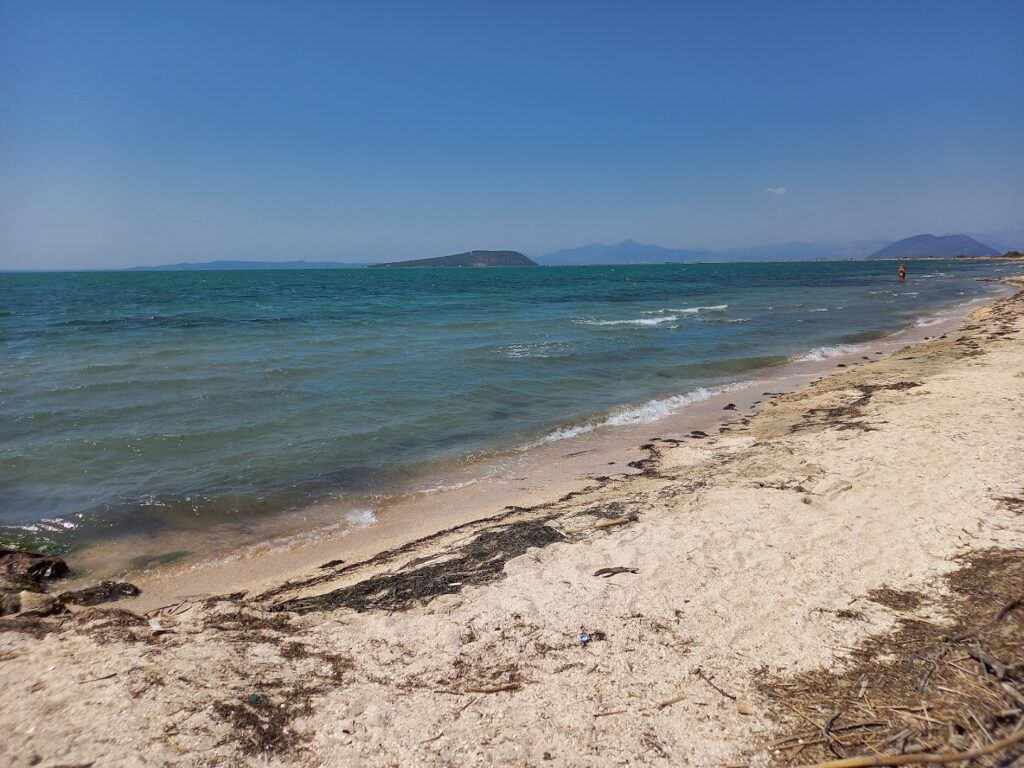 Φωτογραφία: Παραλία Λογαρού
