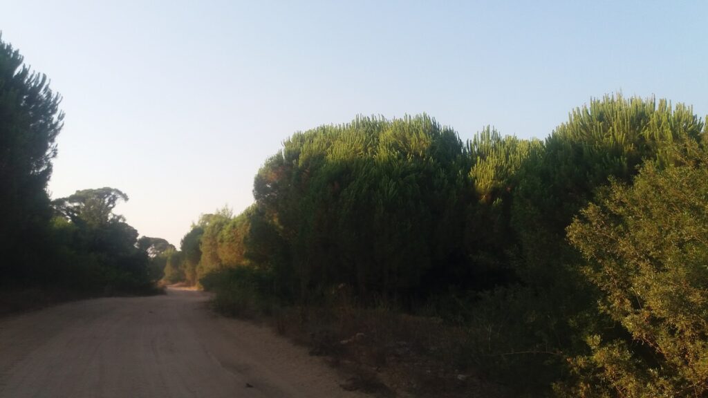 Φωτογραφία: Λίμνη Λαμία