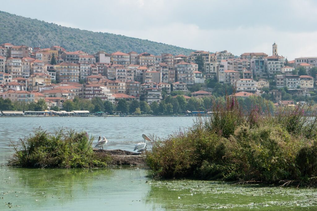 Φωτογραφία: Λίμνη Καστοριάς Ορεστιάδα